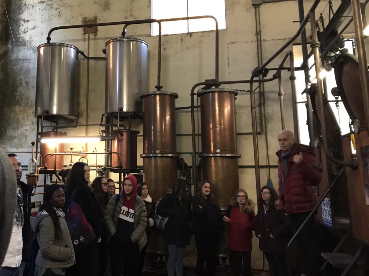 distilleria brunello